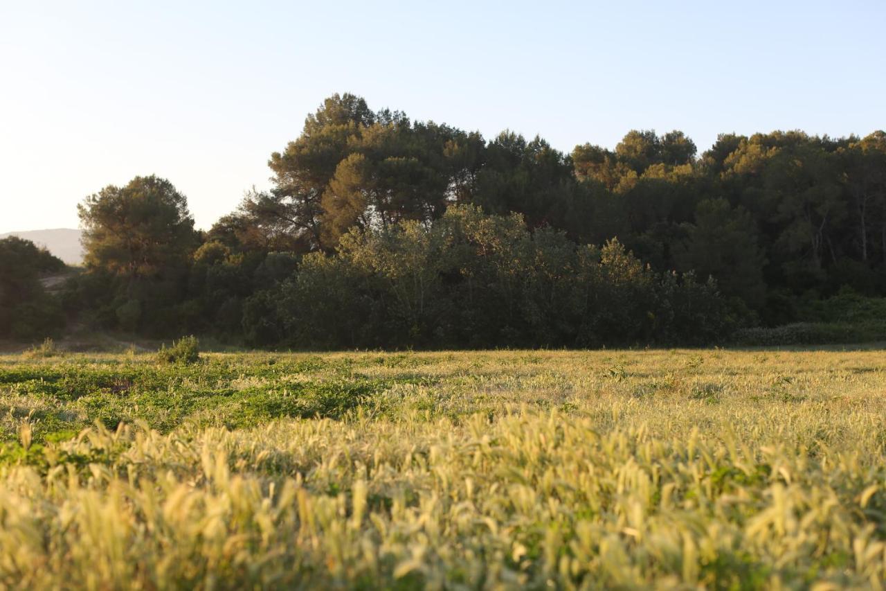 Masia Can Rovira - ESC1852 Sant Llorenç d'Hortons Exterior foto